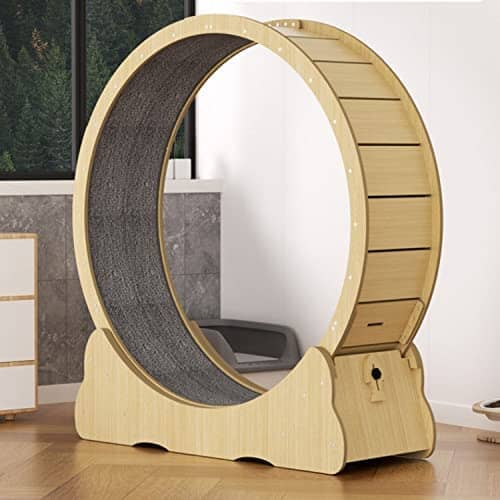 Cats Loss Weight Device Pet Clever