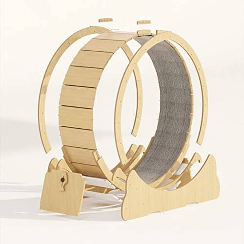 Cats Loss Weight Device Pet Clever