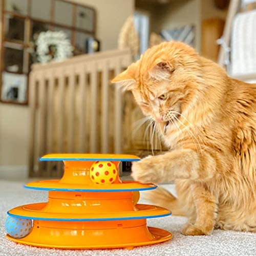 Circle Track with Moving Balls Cat Toys Cat Toys Pet Clever 