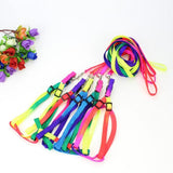 Colorful Rainbow Pet Collar Harness Leash Dog Leads & Collars Pet Clever 