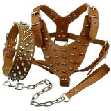 Cool Spiked Studded Leather Pet Harness, Collar and Leash Set Black Spiked Studded Leather Dog Harness Collar & Leash Set Pet Clever Coffee M 