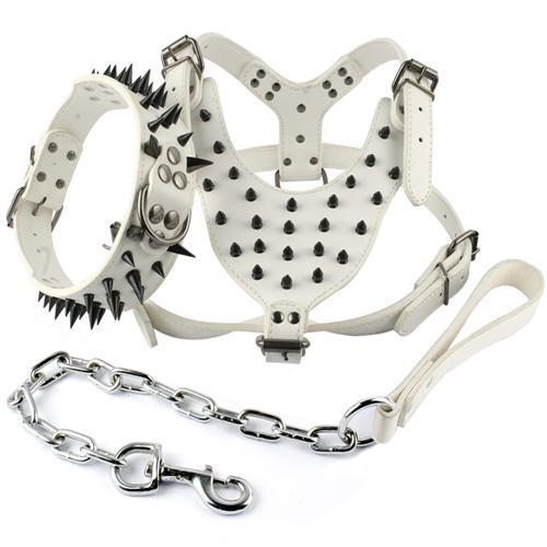Cool Spiked Studded Leather Pet Harness, Collar and Leash Set Black Spiked Studded Leather Dog Harness Collar & Leash Set Pet Clever White M 