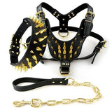 Cool Spiked Studded Leather Pet Harness, Collar and Leash Set Black Spiked Studded Leather Dog Harness Collar & Leash Set Pet Clever Gold M 