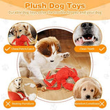 Crab Design Interactive Dog Toys for Small, Medium, Large Dogs - Pet Clever