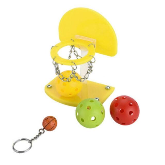 Creative Parrot Basketball Stand Shooting Hoop Bird Toys Pet Clever White 