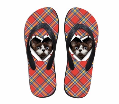 Cute Angry Cat Slip-on Round Toe Comfortable Slipper Cat Design Footwear Pet Clever US 5 - EU35 -UK3 