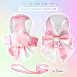 Cute Bow Tie Dog Harness and Leash Set Elegant Rainbow Gradient Puppy Harness Dog Harness Pet Clever 