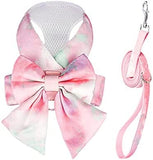 Cute Bow Tie Dog Harness and Leash Set Elegant Rainbow Gradient Puppy Harness Dog Harness Pet Clever Pink X-Small 