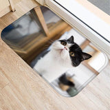 Cute Cat Design Non-slip Floor Mat Cat Design Accessories Pet Clever Q 