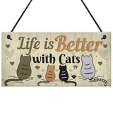 Cute Cat Plaques Cat Design Accessories Pet Clever D 