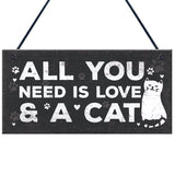 Cute Cat Plaques Cat Design Accessories Pet Clever 