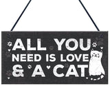 Cute Cat Plaques Cat Design Accessories Pet Clever B 