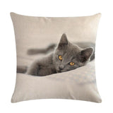 Cute Cat Print Decorative Cushion Pillowcase Cat Design Accessories Pet Clever 6 