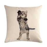 Cute Cat Print Decorative Cushion Pillowcase Cat Design Accessories Pet Clever 5 