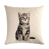 Cute Cat Print Decorative Cushion Pillowcase Cat Design Accessories Pet Clever 7 