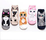 Cute Cat Socks Cat Pet Clever 