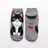 Cute Cat Socks Cat Pet Clever Grey cat 
