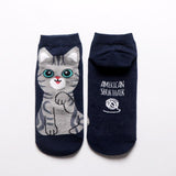 Cute Cat Socks Cat Pet Clever black cat 