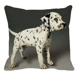 Cute Dalmatian Print Linen Pillow Case﻿ Dog Design Pillows Pet Clever 2 