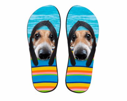 Cute Dog Print Beach Flip Flops Flat Slippers Dog Design Footwear Pet Clever 1 