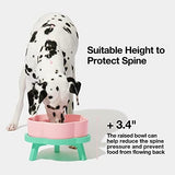 Cute Pet Food and Water Bowl with Non-Slip Stand Dog Pet Clever 