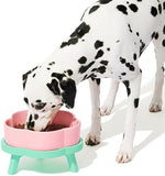Cute Pet Food and Water Bowl with Non-Slip Stand Dog Pet Clever 