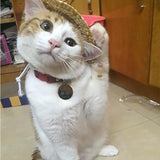 Cute Straw Hat Design Cat Clothing Pet Clever 