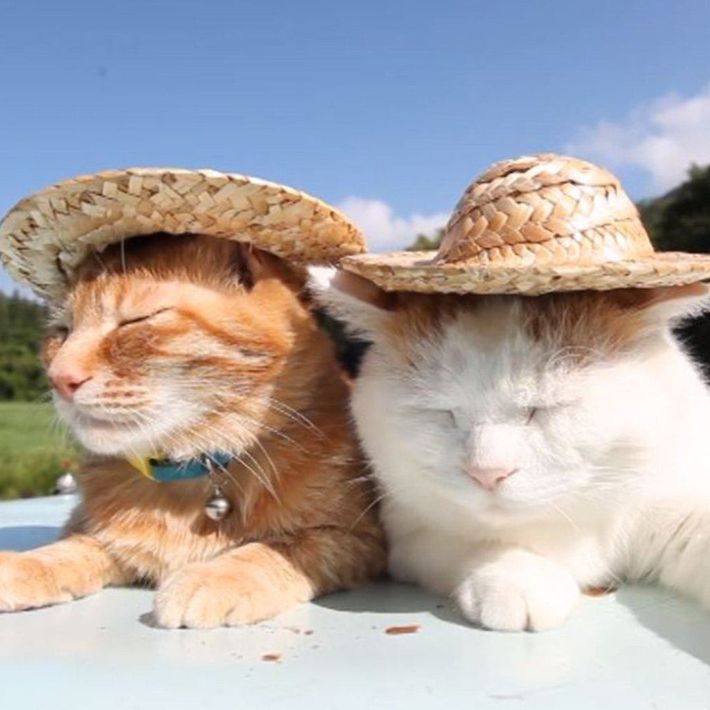 Straw Cowboy Cat Hat Dog Hat W/ FREE SHIPPING 