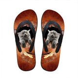 Cute Women Awkward Cat Print Beach Flip Flops Slipper Sandals Cat Design Footwear Pet Clever US 5 - EU35 -UK3 