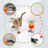 Detachable Tennis Interactive Cat Training Toy Cat Toys Pet Clever 