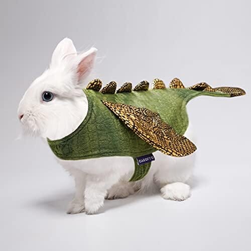 Dinosaur Cosplay Halloween Outfits for Small Pets Dog Clothing Pet Clever 