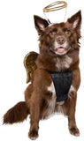 Dog Angel Wings Dog Clothing Pet Clever 