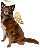 Dog Angel Wings Dog Clothing Pet Clever 