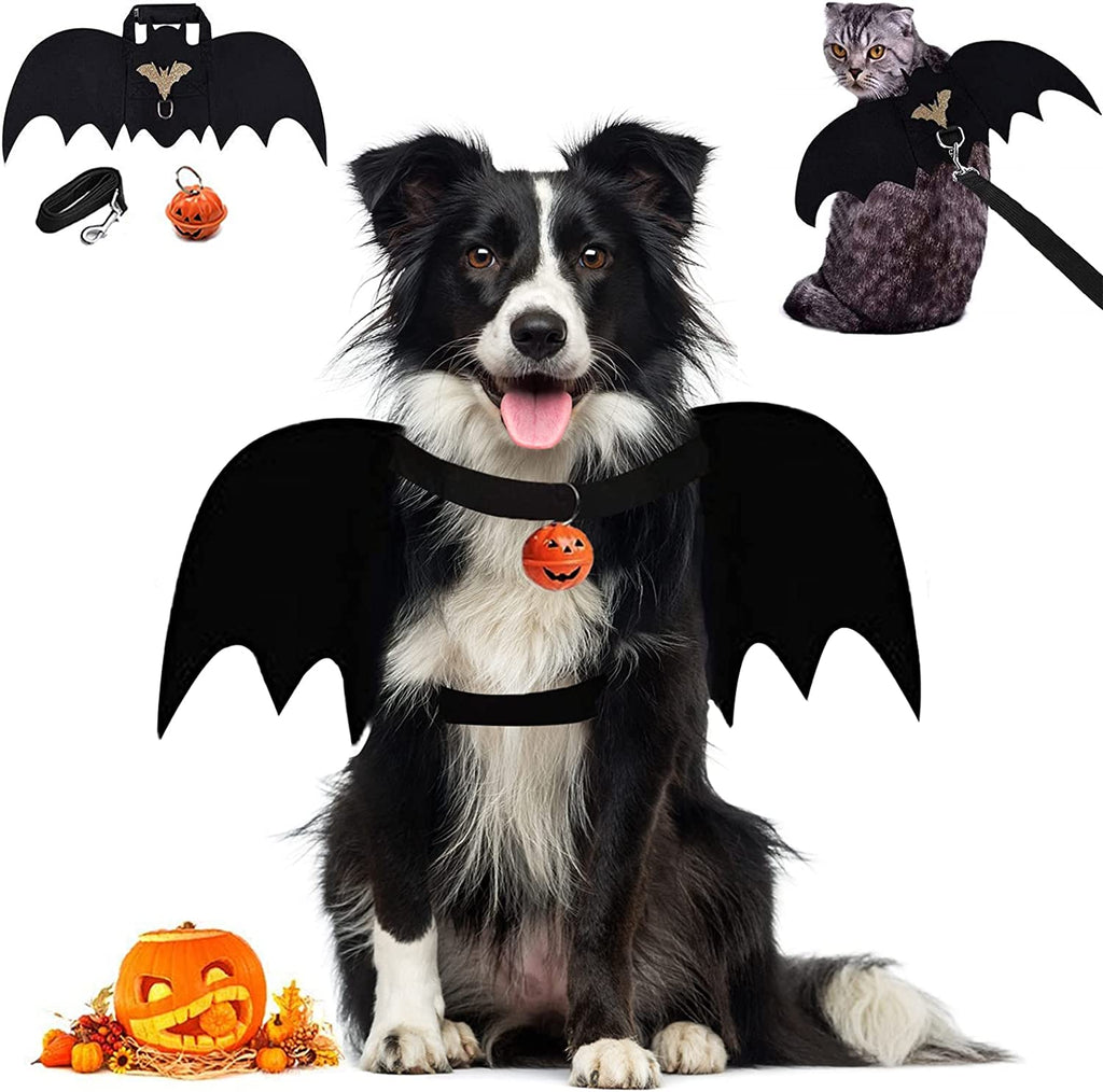 Border Collie Halloween Costumes Gifts & Merchandise for Sale