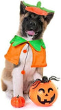 Dog Halloween Pumpkin Cloak Hat Set Dog Clothing Pet Clever 