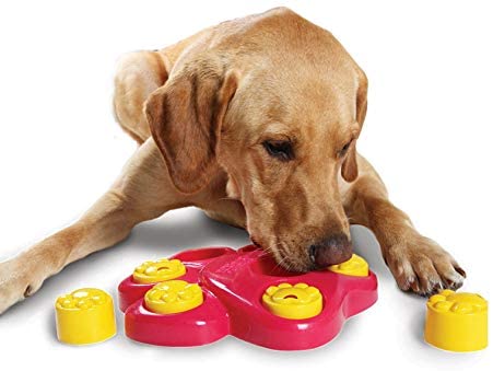 Paw puzzle pet games dog Toy Food Dispenser Interactive Play for