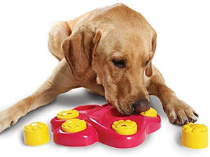 Dog Interactive Games Puzzle Toys Food Dispenser - Pet Clever