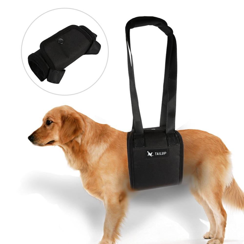 Dog assist outlet sling