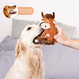 Dog Plush Toys for Teeth Cleaning & Boredom Toys Pet Clever 