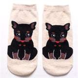 Dog Print Cute Socks Dog Design Accessories Pet Clever 14 