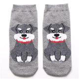 Dog Print Cute Socks Dog Design Accessories Pet Clever 12 