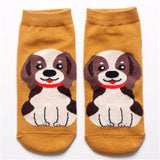 Dog Print Cute Socks Dog Design Accessories Pet Clever 13 