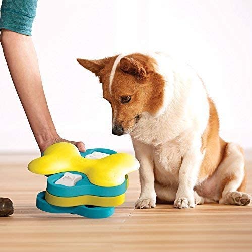 https://petclever.net/cdn/shop/products/dog-tornado-interactive-treat-puzzle-dog-toy-878169.jpg?v=1630808834