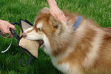 Dog Training Bite Tug Pillow Sleeve Dog Toys Sport & Training Pet Clever 4 