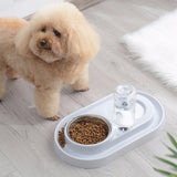 Double Bowl Automatic Pet Feeder Dog Bowls & Feeders Pet Clever 