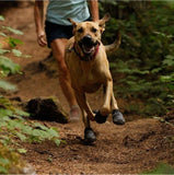 Durable Pet Outwear Shoes Shoes Pet Clever 