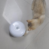 Electric Cat Teaser Disc with Feather Cat Toys Pet Clever 
