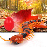 Electric Centipede Cat Teaser Toy with Remote Cat Toys Pet Clever 