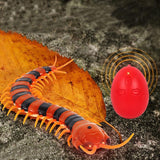 Electric Centipede Cat Teaser Toy with Remote Cat Toys Pet Clever 