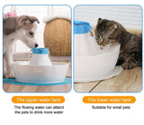 Electric Two Area Pet Water Fountain Feeder ﻿ Dog Bowls & Feeders Pet Clever 